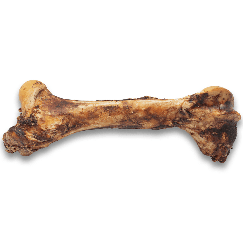 Asado Monster Beef Bone Poochie Moochie Pet Store West Edmonton