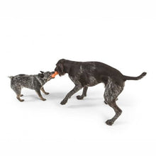 Rumpus with Zogoflex - Chew & Fetch for Tough Chewers
