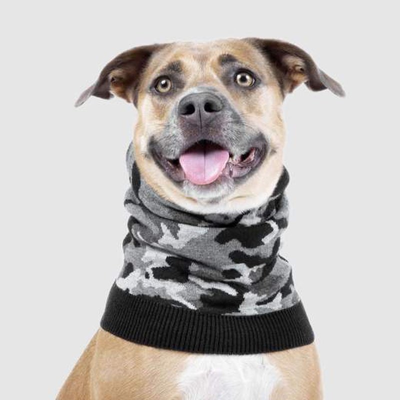 Canada hotsell pooch scarf