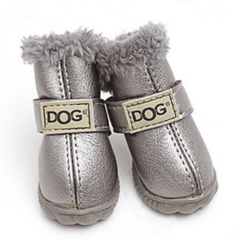 Hunting 2025 dog shoes