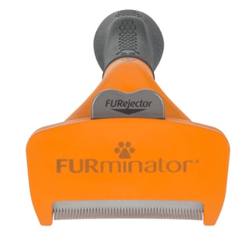 Furminator Short Hair DeShedding Tool for Medium Dogs Edmonton