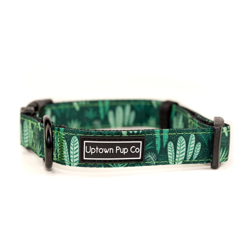 Uptown dog collars new arrivals