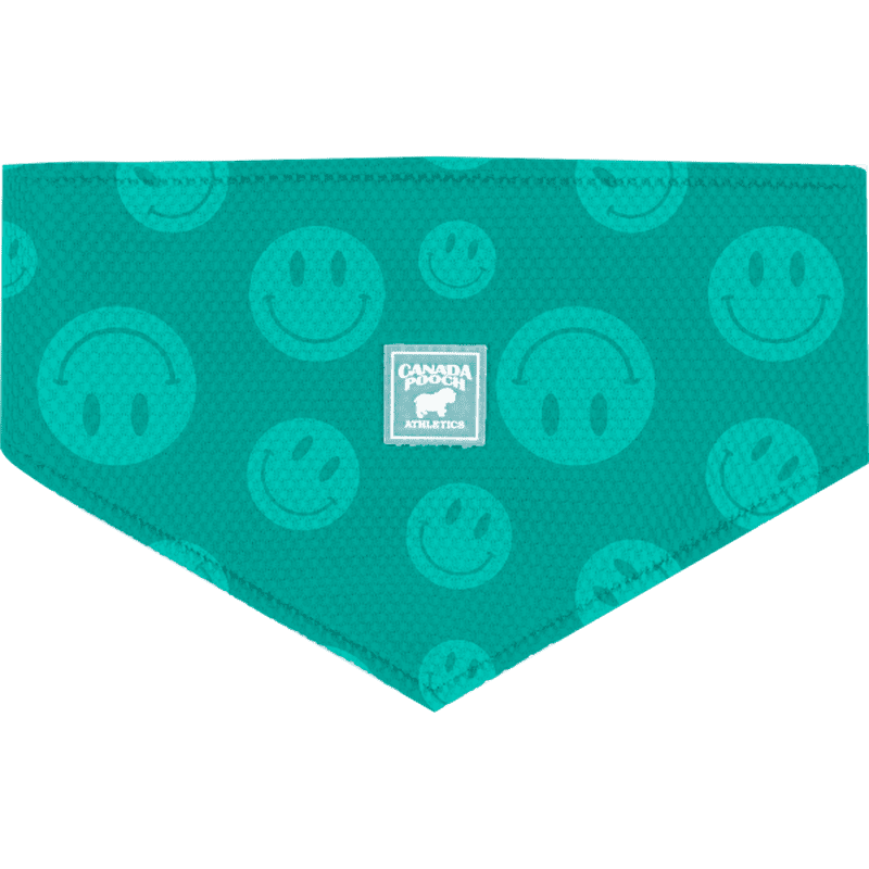 Canada Pooch Cooling Bandana WetRveal Smiley
