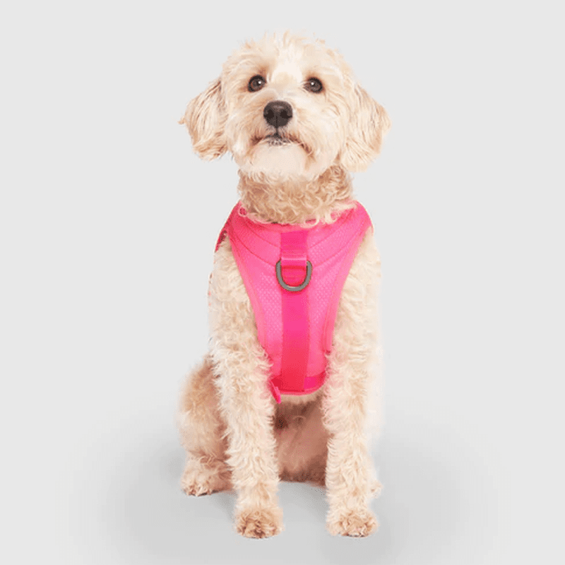 Neon clothes canada on sale