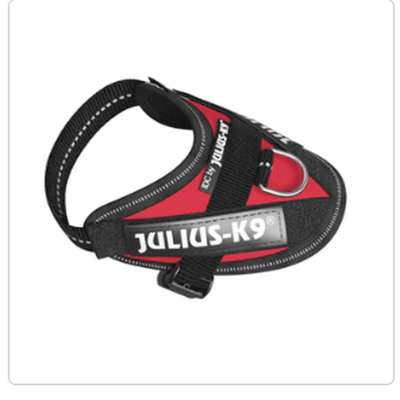 Julius K-9 IDC Power Harness Edmonton, Dog Harness