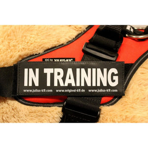 Julius K-9 "In Training" Large / Small Harness Labels