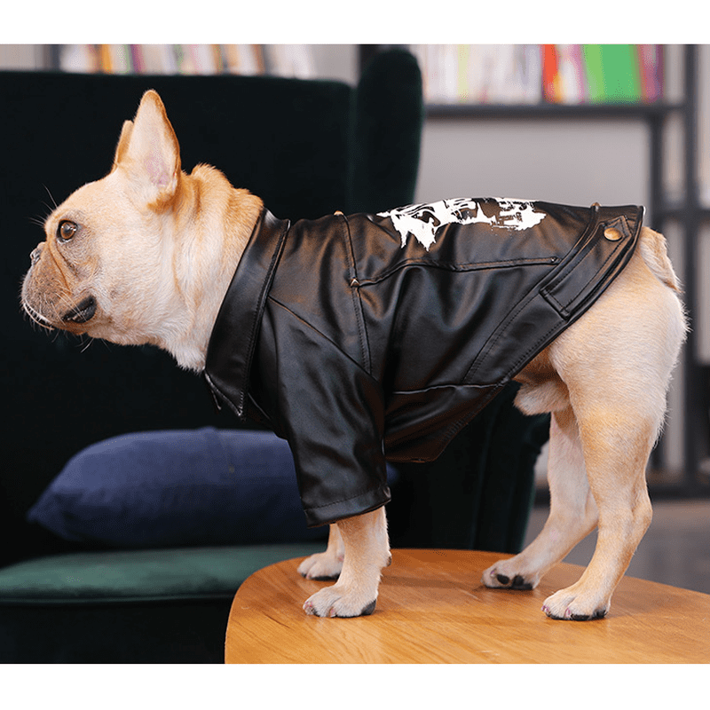 Dog leather jacket discount
