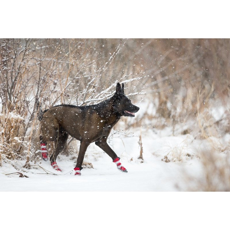 Pawsh Pad Paw Protectors - Boots in 7 Sizes Edmonton, Dog Boots