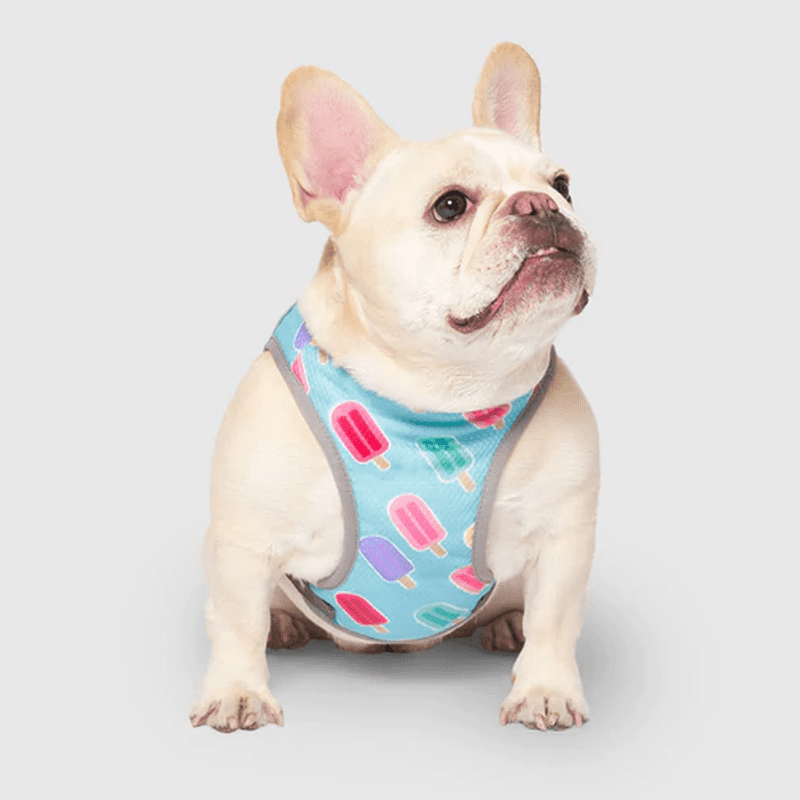 Cute online dog vests
