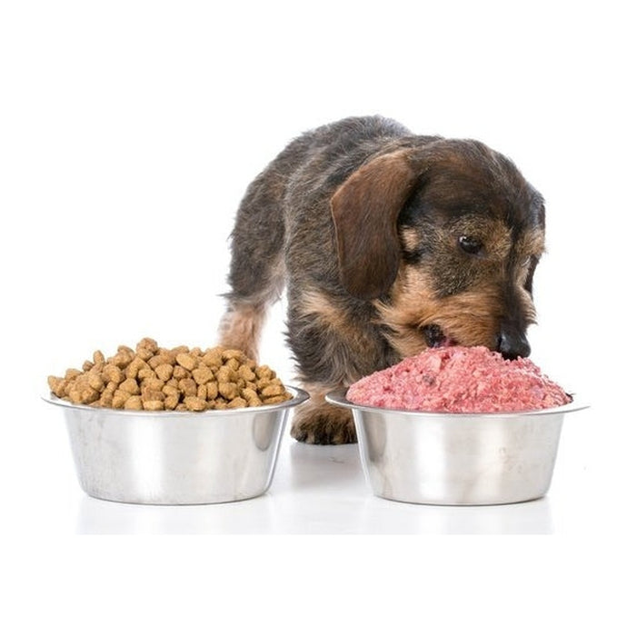 What To Expect When Transitioning From Kibble to Raw
