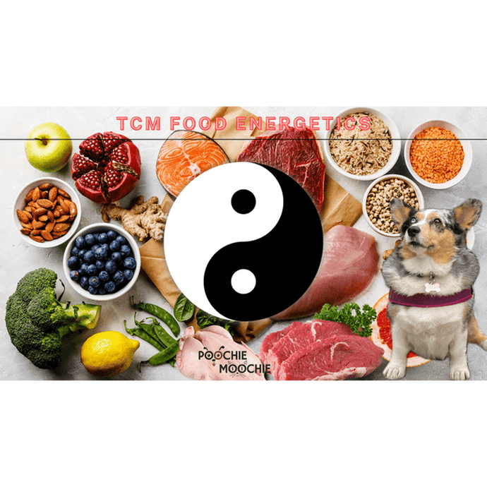 TCM Food Energetics for your Dog