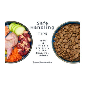 Safe Handling of Raw Dog Food (& Kibble)