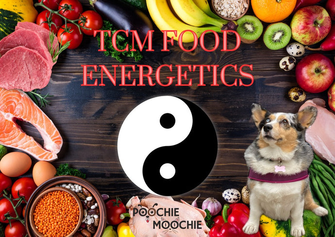 TCM Food Energetics for your Dog