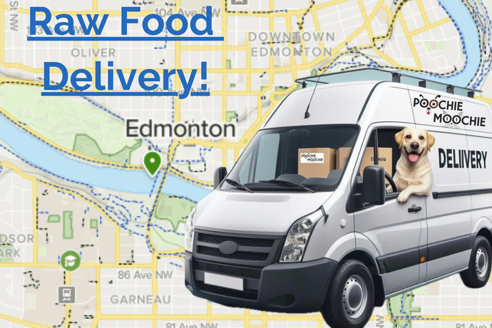 Convenient Raw Dog Food Delivery Service in Edmonton