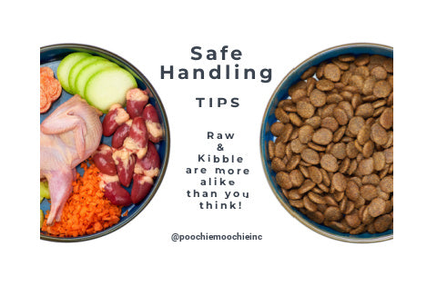 Safe Handling of Raw Dog Food (& Kibble)