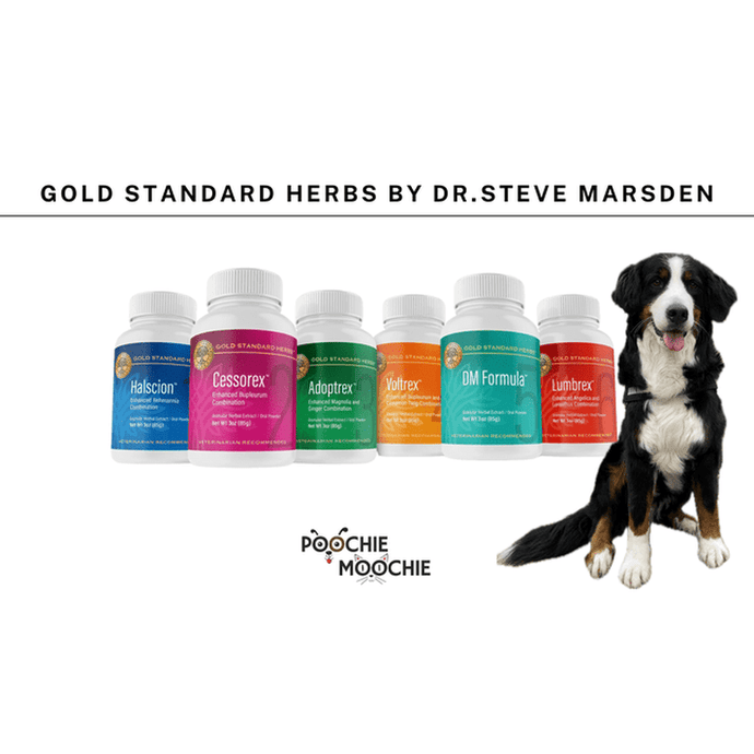 Gold Standard Herbs at Poochie Moochie
