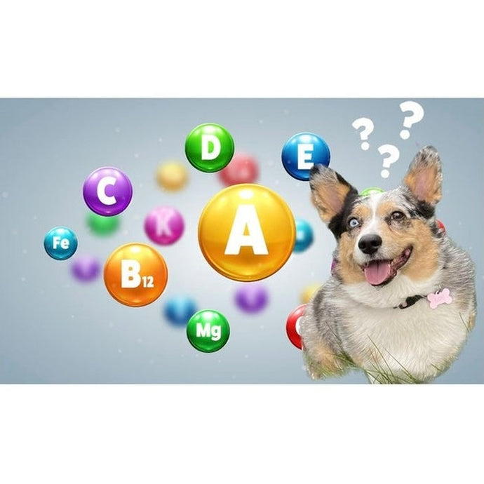 The Dangers of Synthetic Vitamins and Minerals in Pet Food
