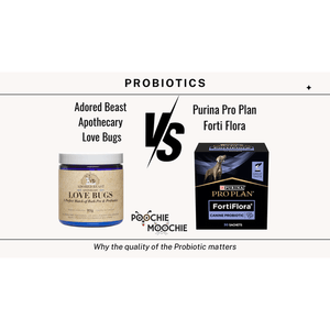 Why the Quality of your Dog Probiotics Matters
