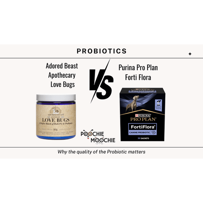 Why the Quality of your Dog Probiotics Matters