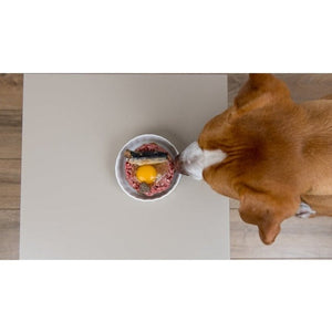 How to Transition Your Dog to Raw Dog Food Diet