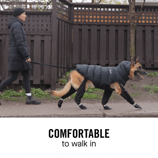 Suspender Boots by Canada Pooch All Sizes Black Poochie Moochie