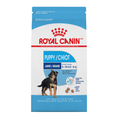 Royal Canin Large Puppy  - SCARS