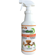 Ez-Clean Odour & Stain Remover Blossom Spray 1L
