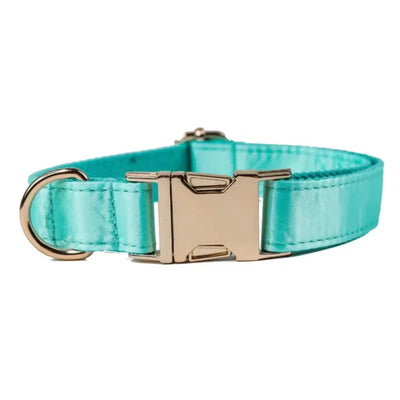 Doggie Republic - The Everyday in Aqua Mint