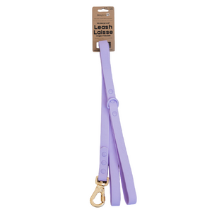 Dexypaws Dog Waterproof Leash 5'