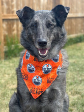 Oilers Bandana for Dogs