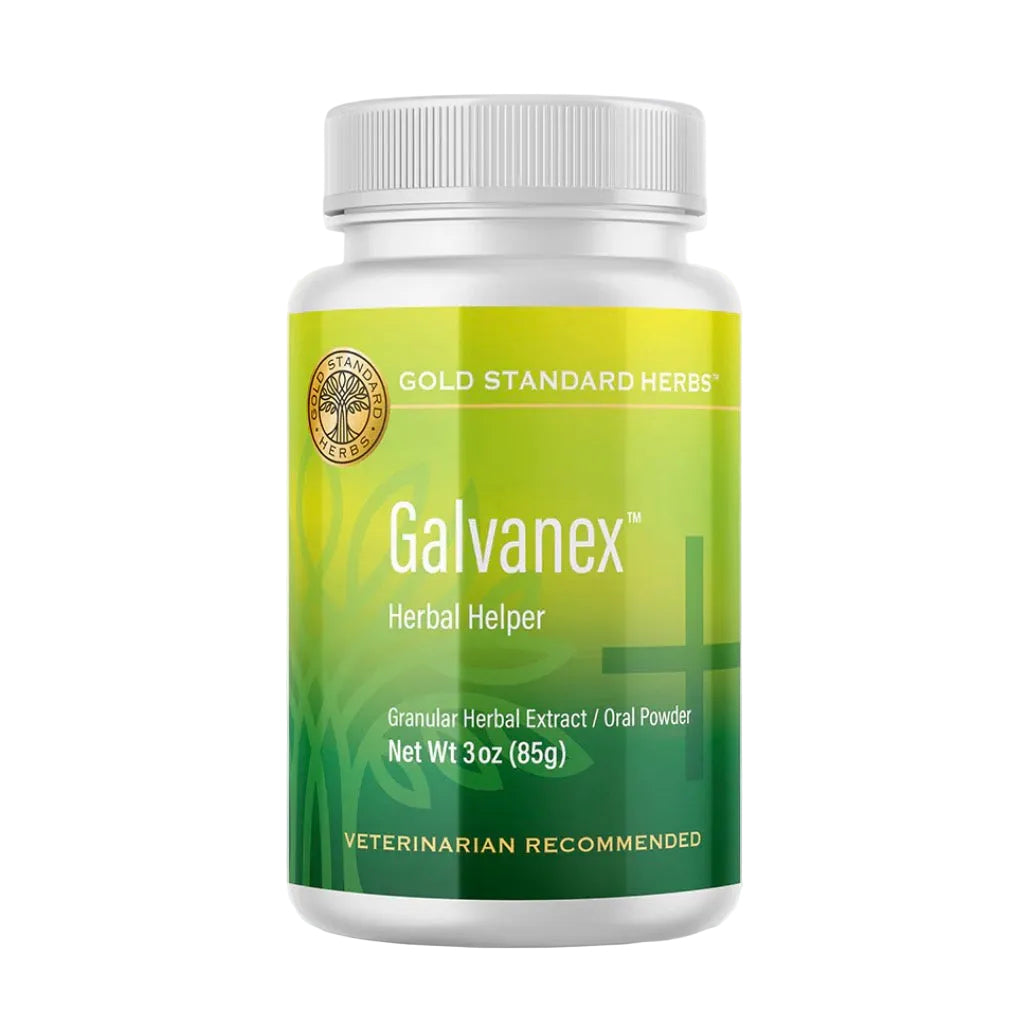 Gold Standard Herbs Galvanex 85g