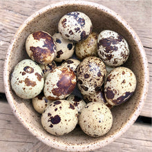 Big Country Raw Quail Eggs Fresh Frozen 18ct