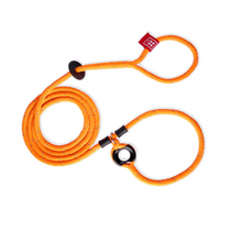 HarnessLead Leash - with Insert **New Design**