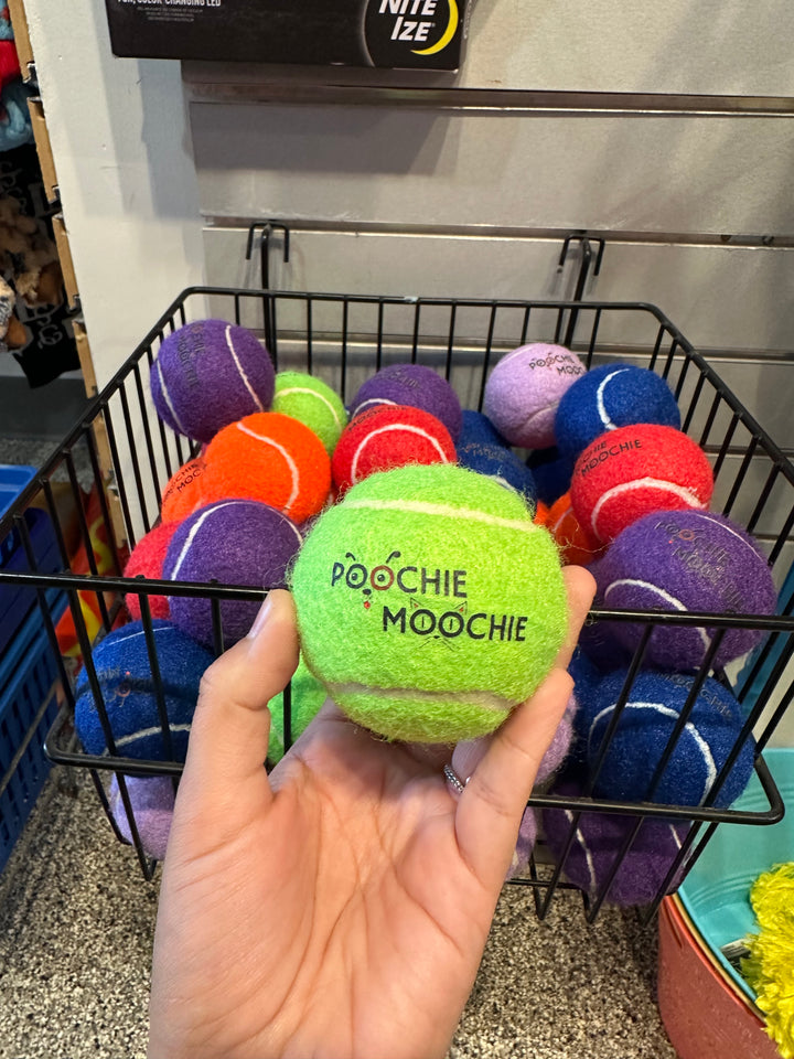 Poochie Moochie Tennis Balls