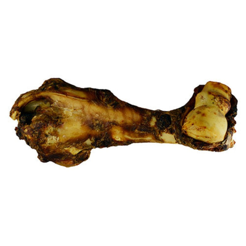 Jones Natural Chews Dino Bone