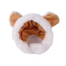 Dress Up Teddy Bear Hat