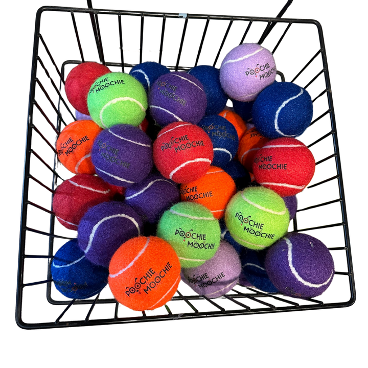 Poochie Moochie Tennis Balls