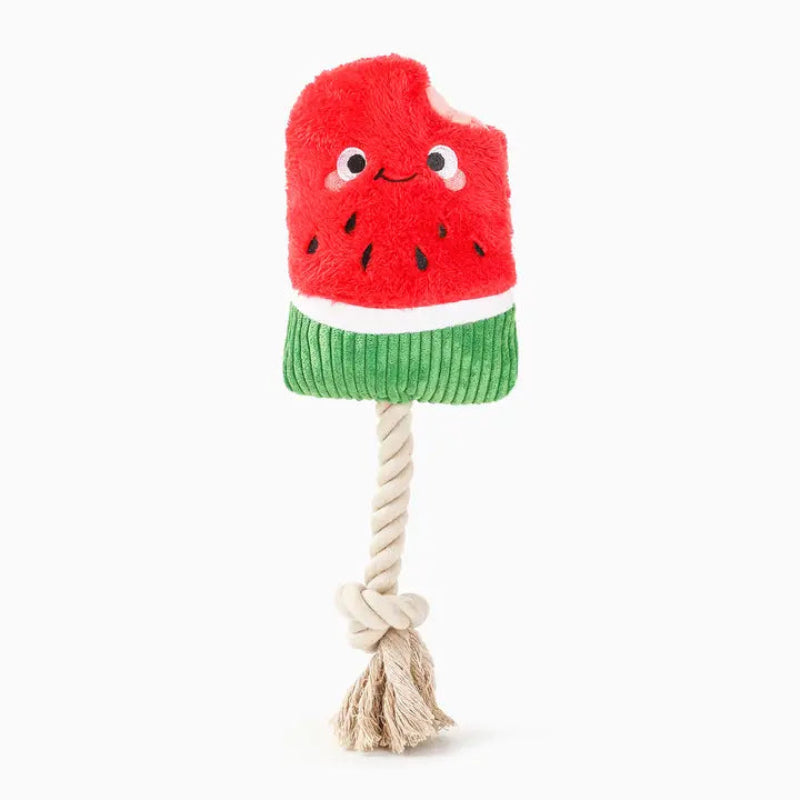 HugSmart Pet Food Party Watermelon Popsicle