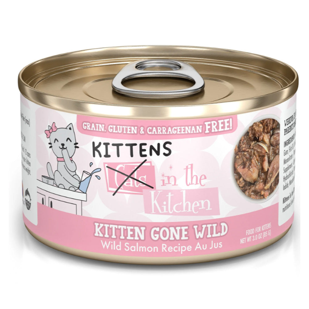 KIK Kitten Gone Wild 3 oz - 12 pk - SCARS