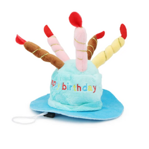 Dress Up Birthday Candle Hat for dogs & cats