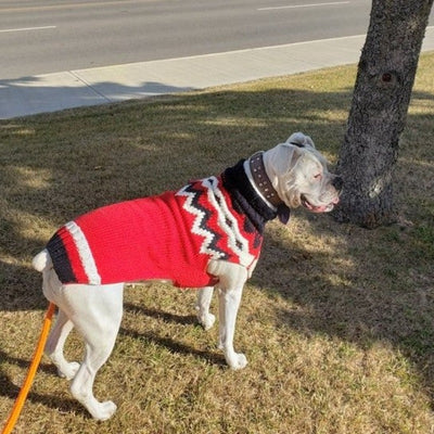 Chilly Dog Red Fairisle Dog Sweater