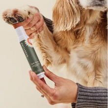 Dandylion Soft Paws Hydrating Paw Lotion