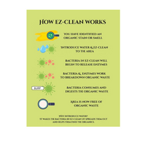 Ez-Clean Odour & Stain Remover Blossom Spray 1L