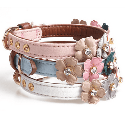 Fashion Flower Collar