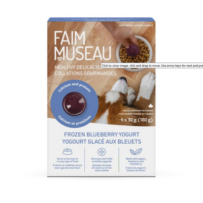 Faim Museau Frozen Blueberry Yogurt 6 x 30g