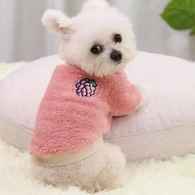 Cute Fuzzy Sweater