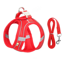 Tag Mesh Harness/Leash Set for Small Dogs or Cats