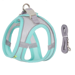 Tag Mesh Harness/Leash Set for Small Dogs or Cats