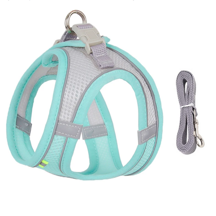 Tag Mesh Harness/Leash Set for Small Dogs or Cats