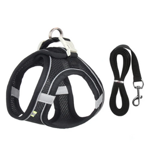 Tag Mesh Harness/Leash Set for Small Dogs or Cats